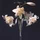 lilly3